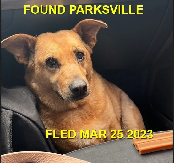 GONE TO SHELTER / HAPPY ENDINGS - PARKSVILLE BC. / LUCY / MAR. 25, 2023