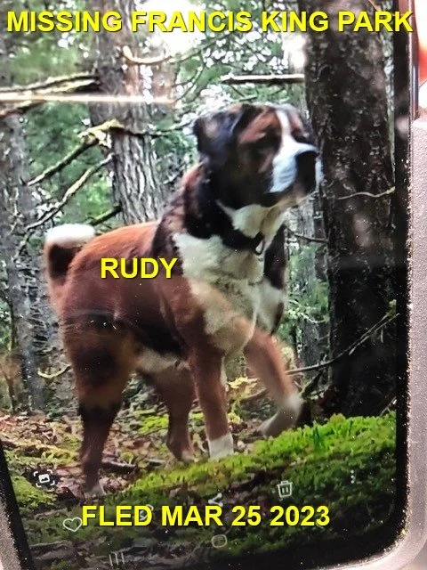 HAPPY ENDINGS - SAANICH BC. / RUDY / MAR. 25, 2023