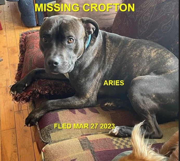 HAPPY ENDINGS - CROFTON BC. / ARIES / MAR. 25, 2023