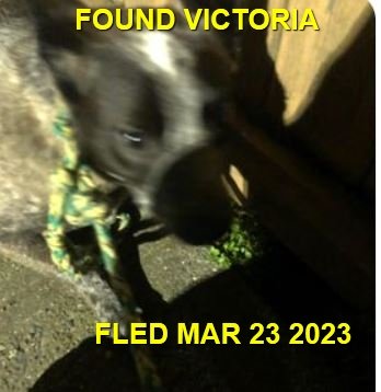 HAPPY ENDINGS - SAANICH BC. / MOMO / MAR. 23, 2023