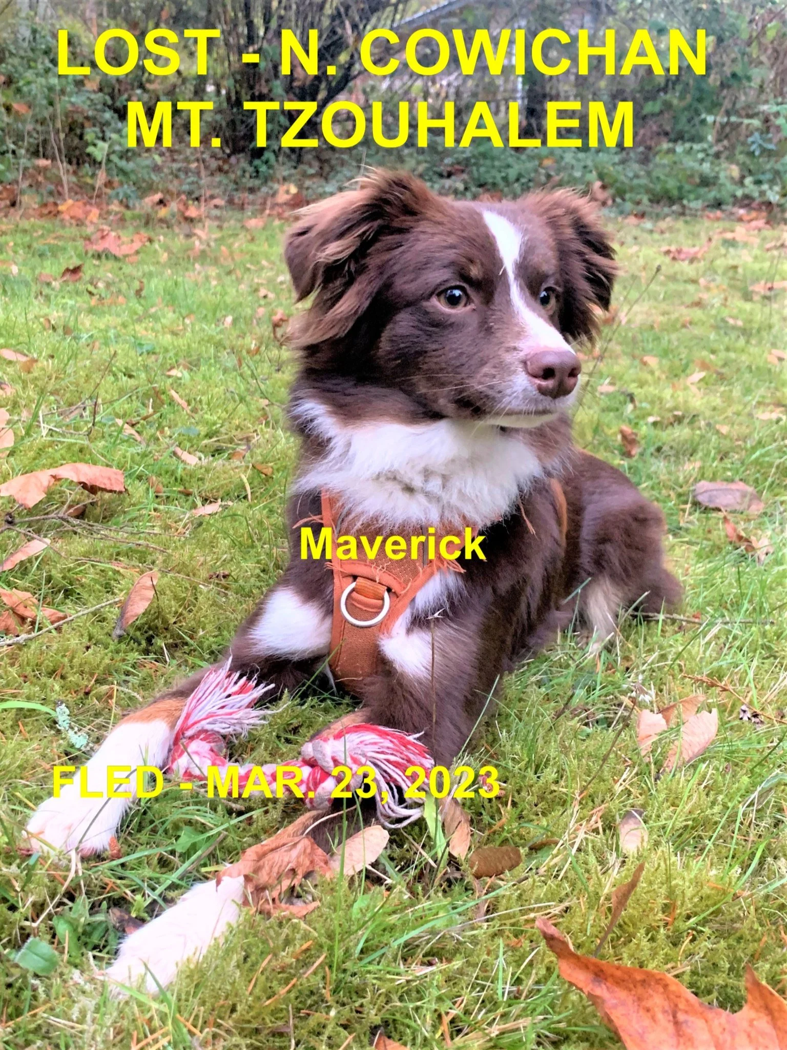 HAPPY ENDINGS - N. COWICHAN BC. / MAVRICK / MAR. 23, 2023