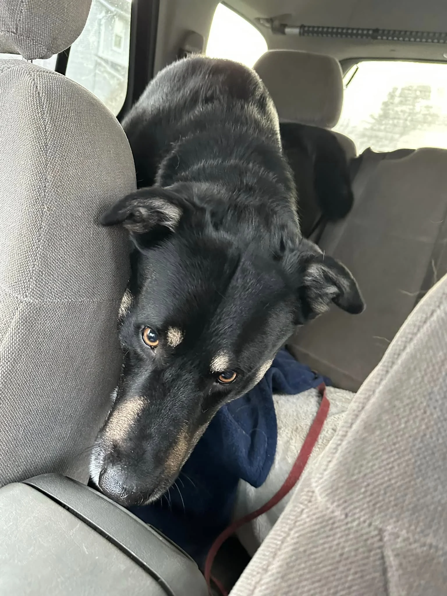 HAPPY ENDINGS - DUNCAN BC. / TIMBER / MAR. 24, 2023