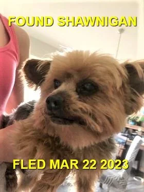 HAPPY ENDINGS - SHAWIGAN LAKE BC. / MAR. 22, 2023