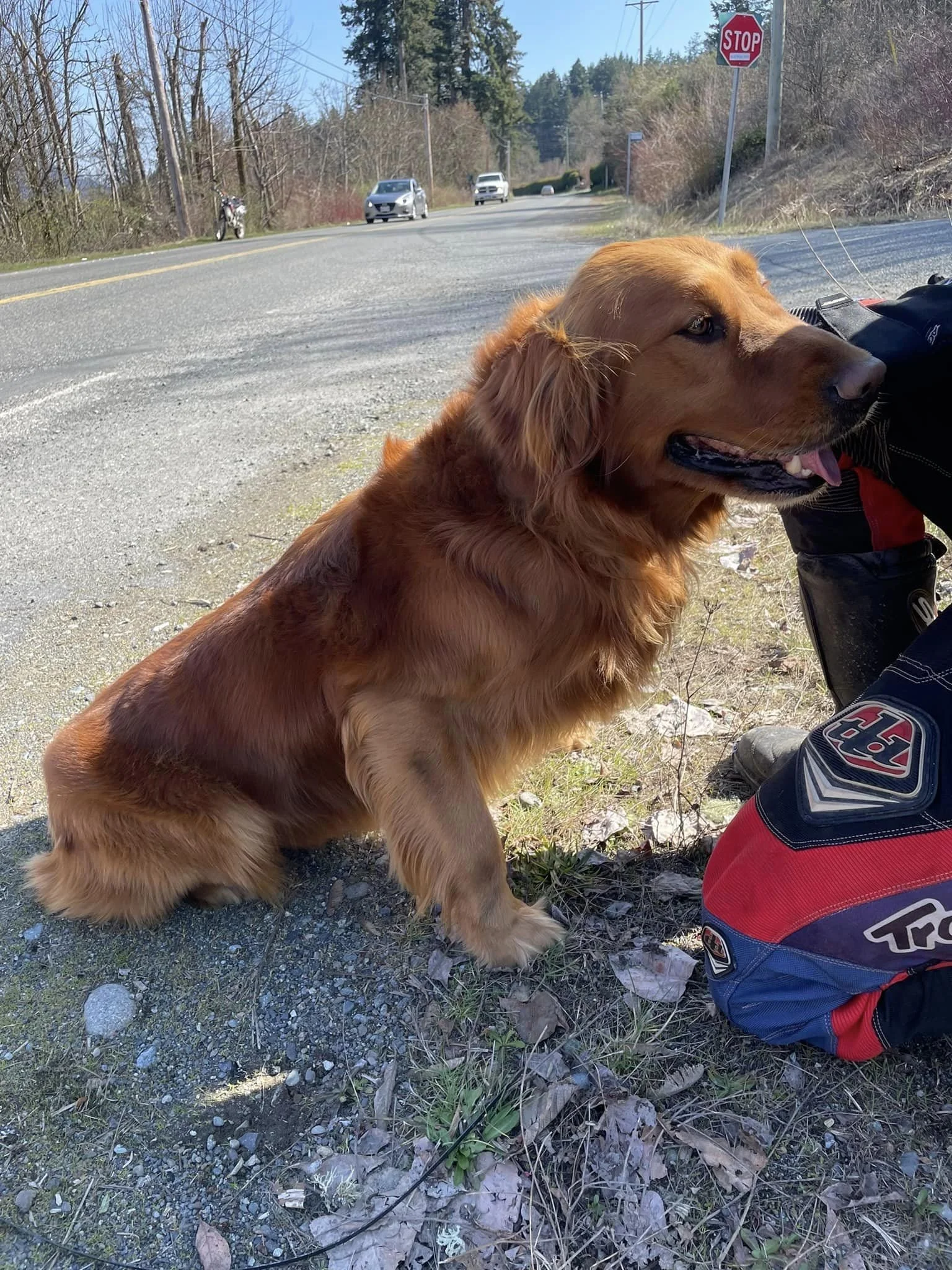 UNRESOLVED - COWICHAN BAY BC. / FELL OUT OF THE BACK OF A PICK-UP.  TRUCK DID NOT STOP - MAR. 22, 2023