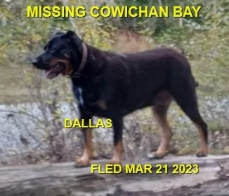 HAPPY ENDINGS - COWICHAN BAY BC. / DALLAS / MAR. 21, 2023