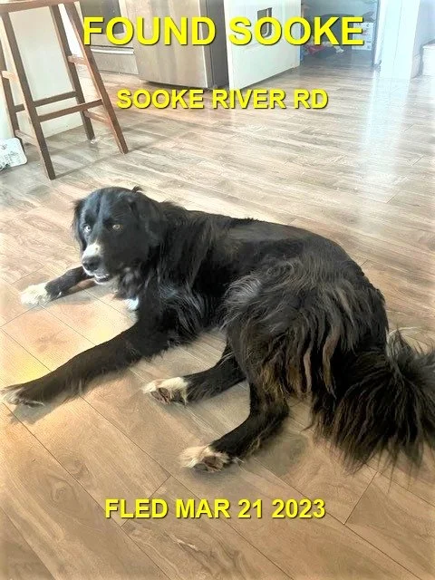 HAPPY ENDINGS - SOOKE BC. / MAR. 21, 2023