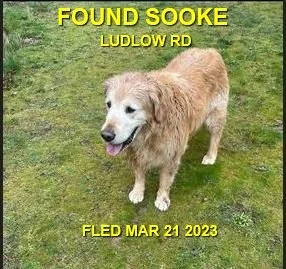 HAPPY ENDINGS - SOOKE BC. / BARNSBY /  MAR. 21, 2023