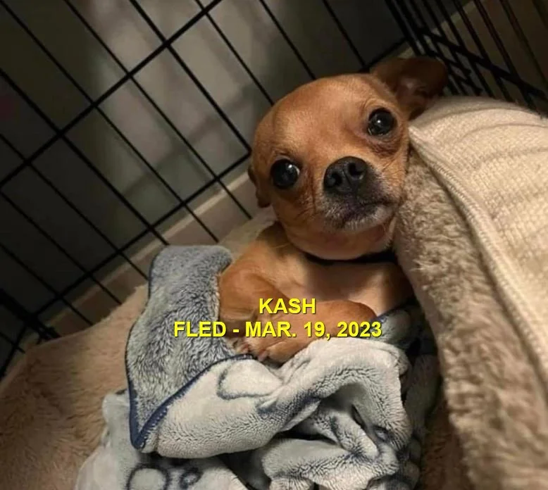 HAPPY ENDINGS - NANAIMO BC. / KASH / MAR. 19, 2023