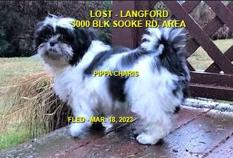 HAPPY ENDINGS - LANGFORD BC. / PIPPA / MAR. 18, 2023