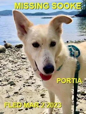 HAPPY ENDINGS - SOOKE BC. / PORTIA / WENT MISSING FEB. 24, 2023 / FOUND MAR. 18, 2023