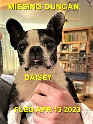 HAPPY ENDINGS -  DUNCAN / DAISEY / APRIL 13, 2023