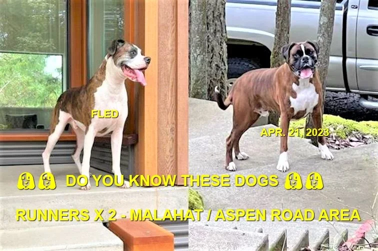 HAPPY ENDINGS - MALAHAT VAN IS. / APR. 21, 2023