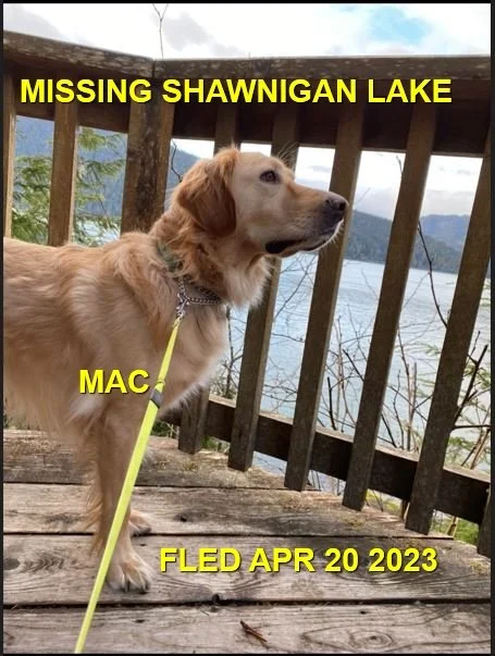 HAPPY ENDINGS - SHAWNIGAN LAKE BC. / MAC / APR. 20, 2023