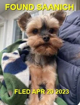 HAPPY ENDINGS - ROYAL OAK BC. / APR. 20, 2023