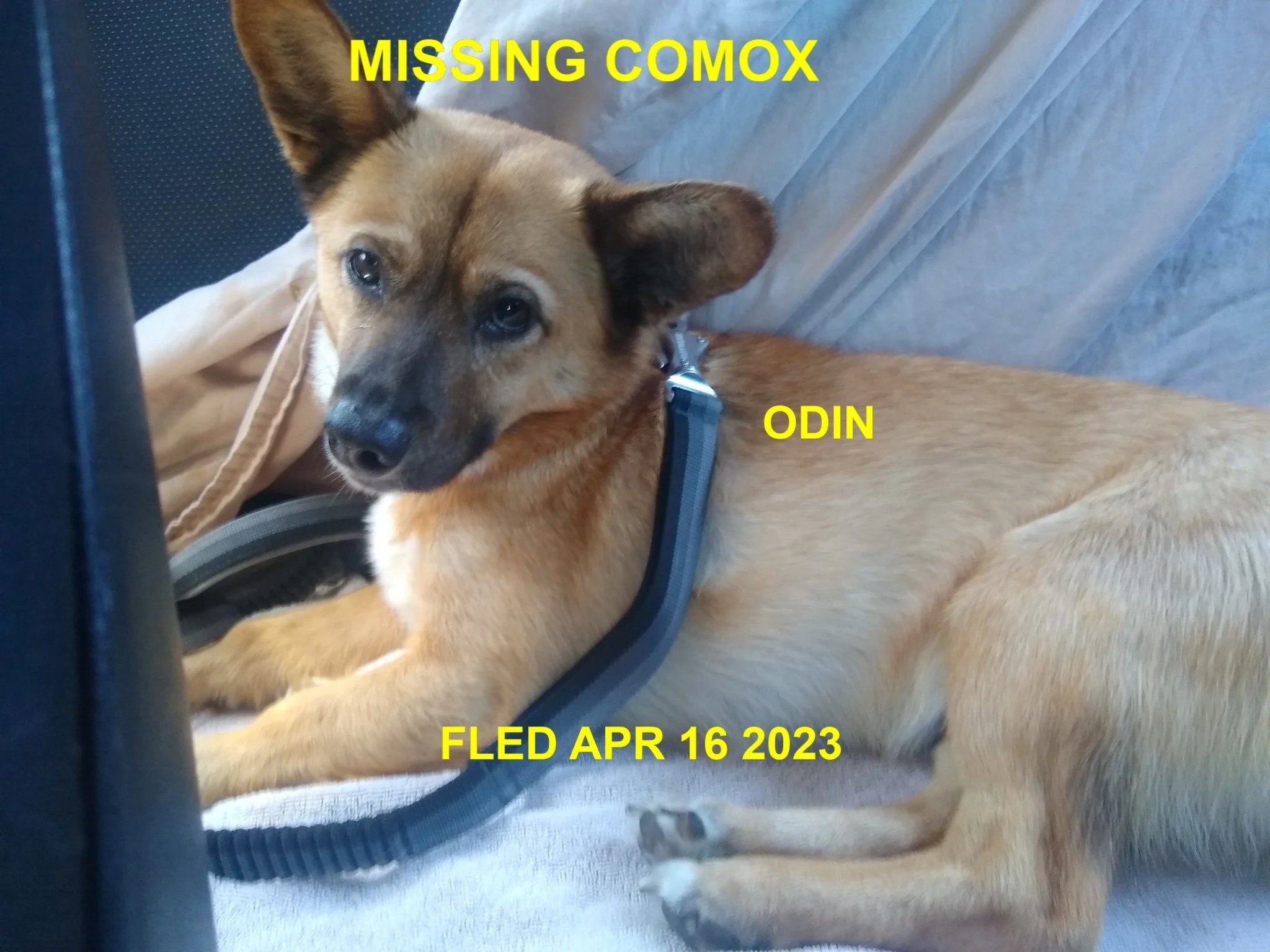 HAPPY ENDINGS - COMOX BC. / ODIN / APR. 16, 2023