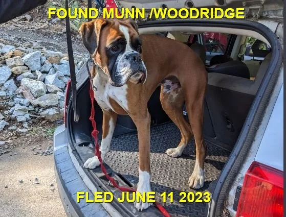 HAPPY ENDINGS - HIGHLANDS BC. / RUMBLE / JUNE 11, 2023