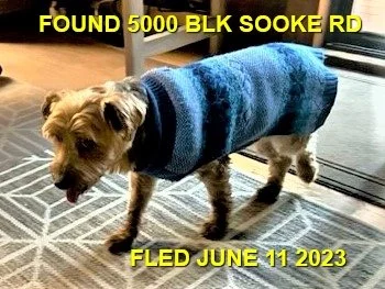 HAPPY ENDINGS - SOOKE BC. / JUNE 11, 2023