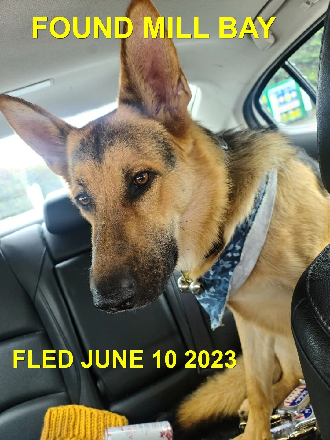GONE TO SHELTER / HAPPY ENDINGS - MILL BAY BC. / CHARLIE / JUNE 10, 2023