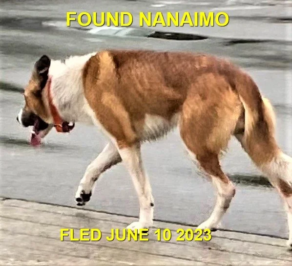 HAPPY ENDINGS - NANAIMO BC. / JUNE 10, 2023