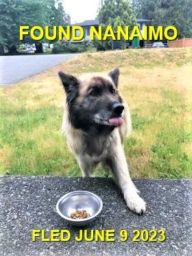 HAPPY ENDINGS - NANAIMO BC. / JUNE 9, 2023