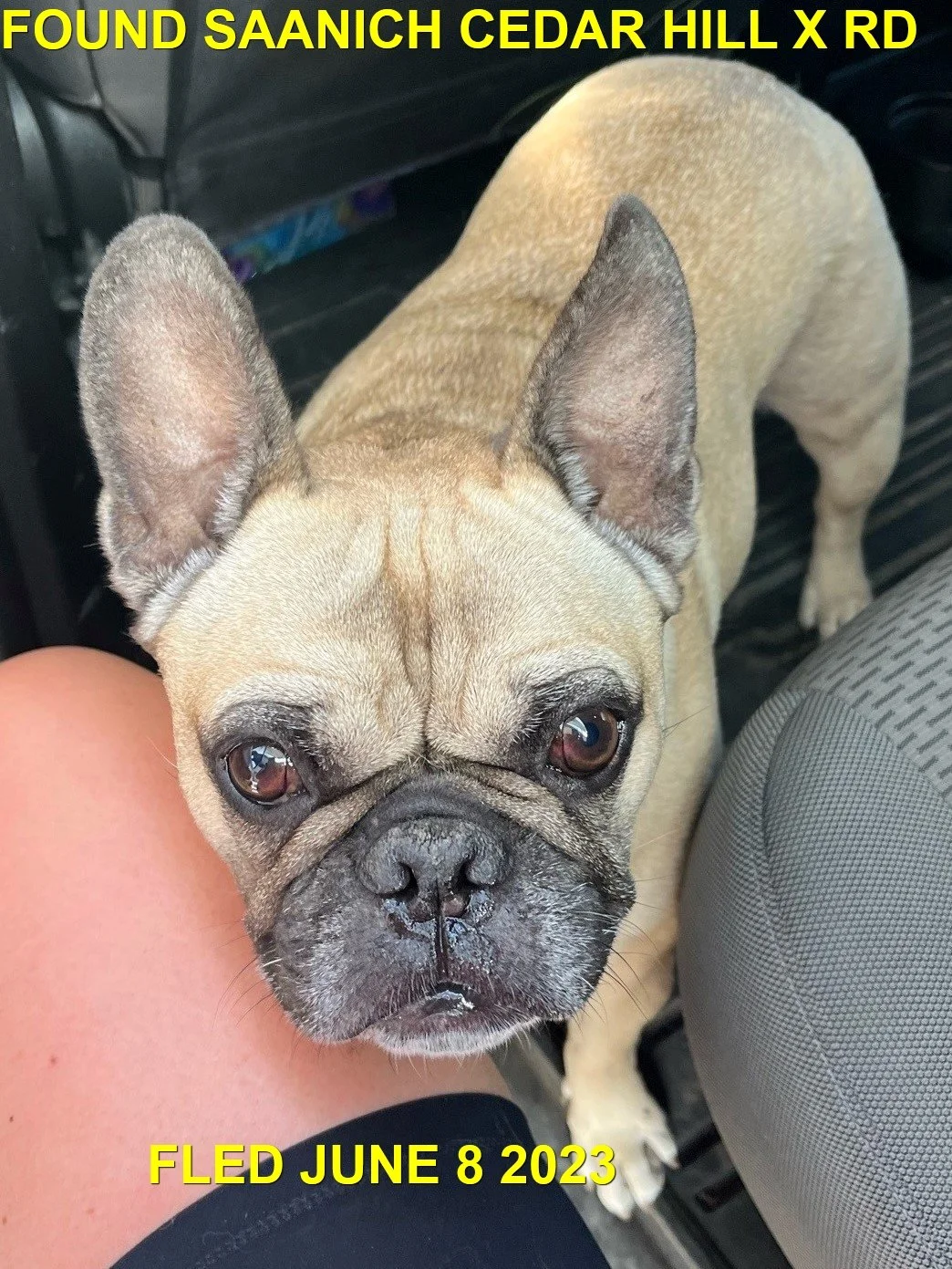 HAPPY ENDINGS - SAANICH BC. / JUNE 8, 2023