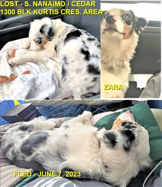 HAPPY ENDINGS - S. NANAIMO BC. / ZARA / JUNE 7, 2023