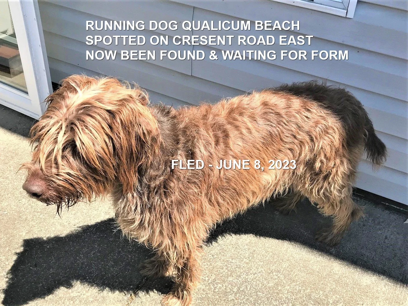 HAPPY ENDINGS - QUALICUM BEACH BC. / JUNE 7, 2023