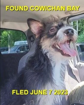 HAPPY ENDINGS - DUNCAN BC / COWICHAN BAY. / JUNE 7, 2023