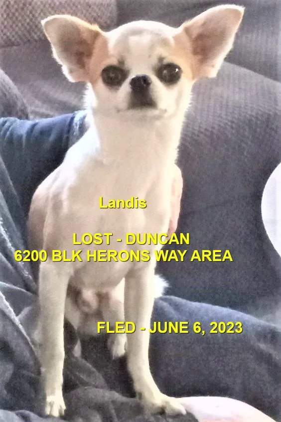 HAPPY ENDINGS - DUNCAN BC. / LANDIS / JUNE 6, 2023