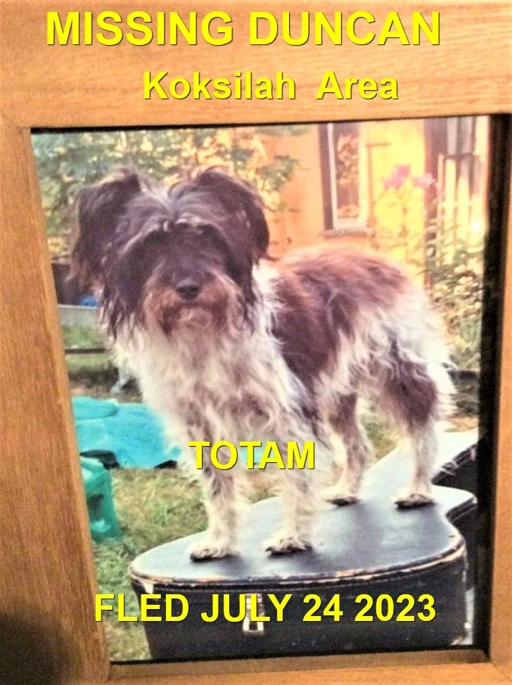 HAPPY ENDINGS - DUNCAN BC. / TOTAM / JULY 24, 2023