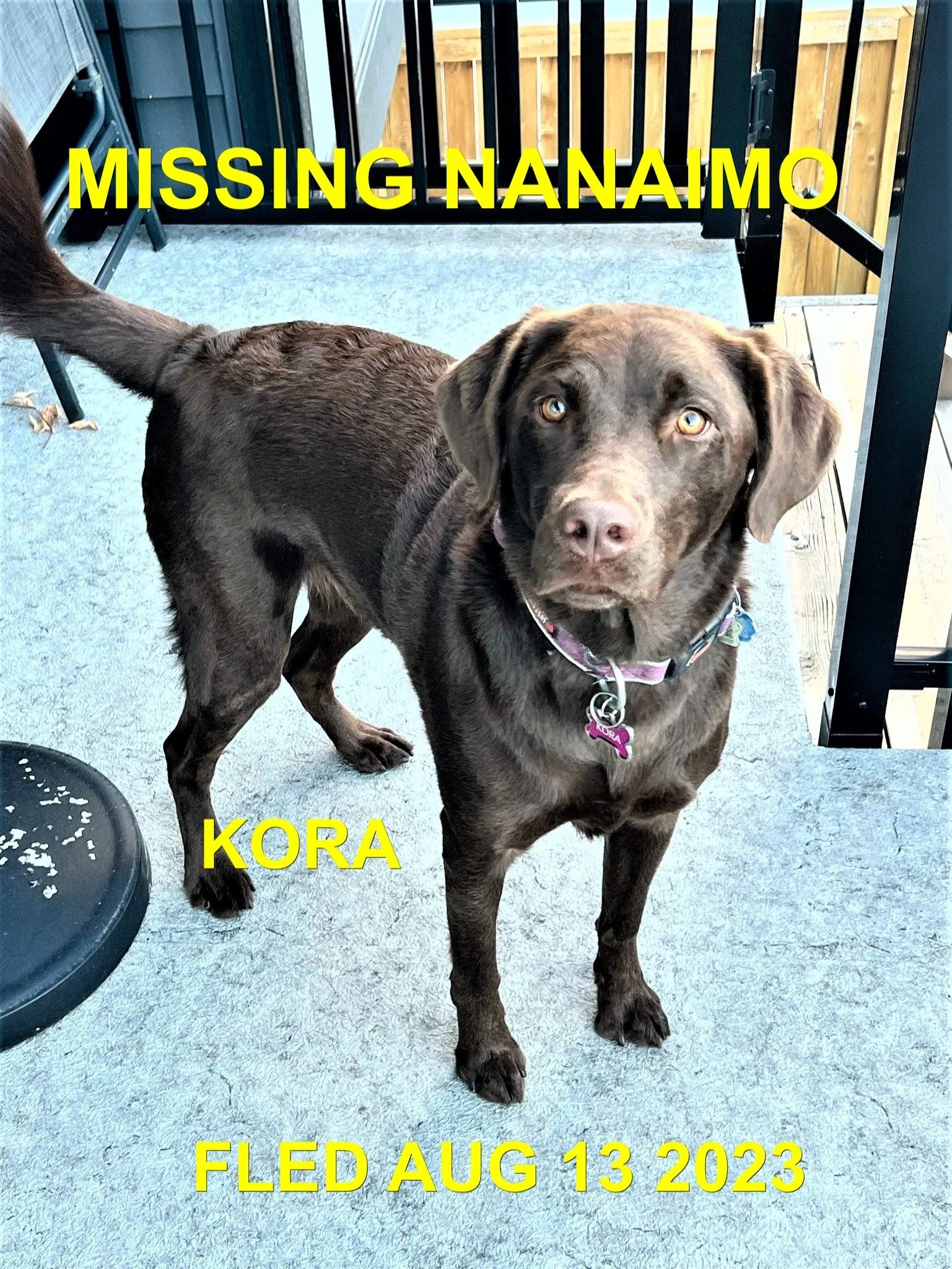 HAPPY ENDINGS - CEDAR BC./ KORA / AUG. 12, 2023