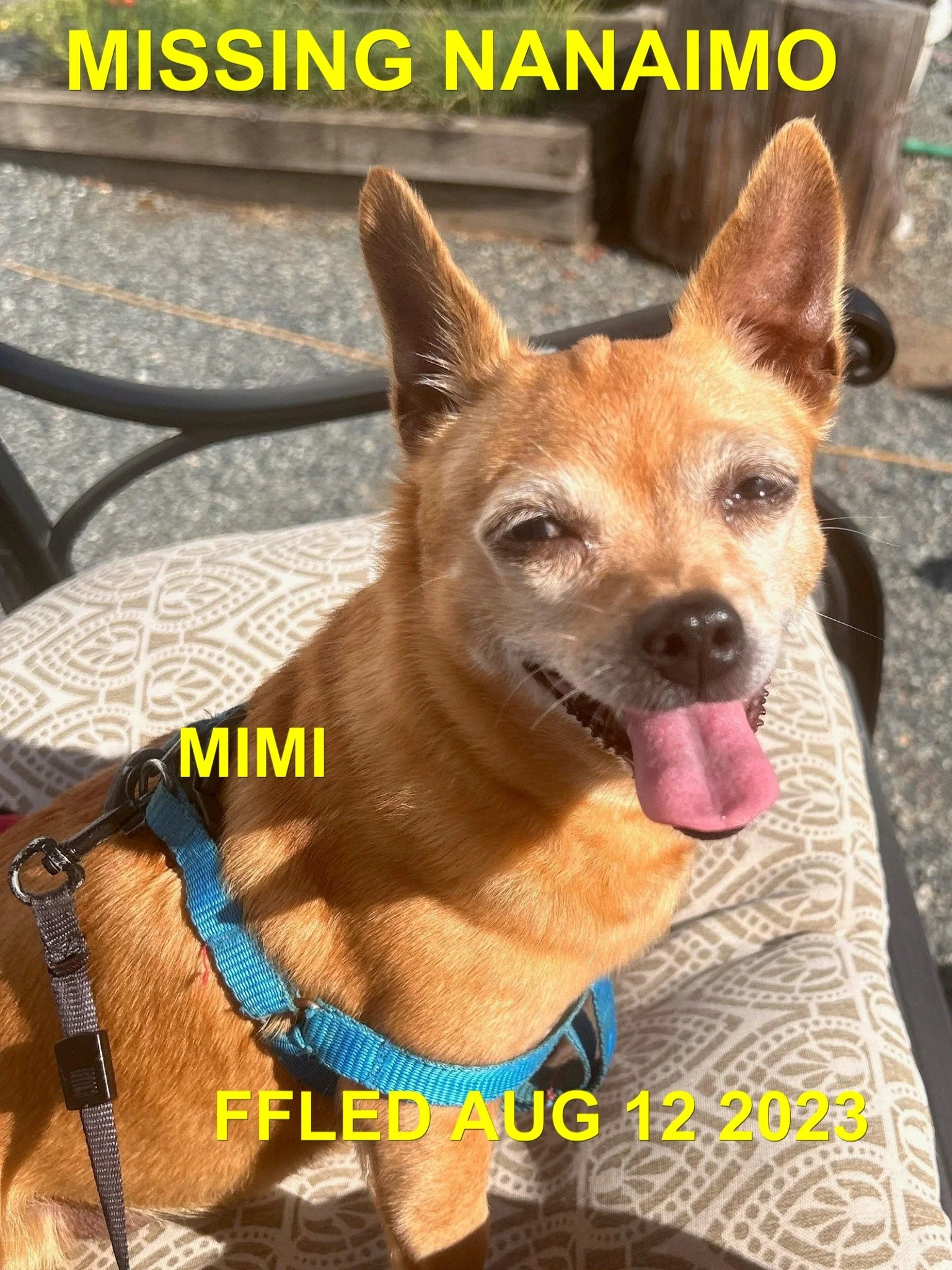 HAPPY ENDINGS - NANAIMO BC./ MIMI / AUG. 12, 2023