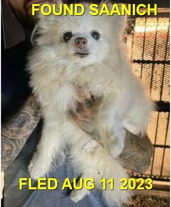 HAPPPY ENDINGS - SAANICH BC./ JEWEL - AUG. 11, 2023