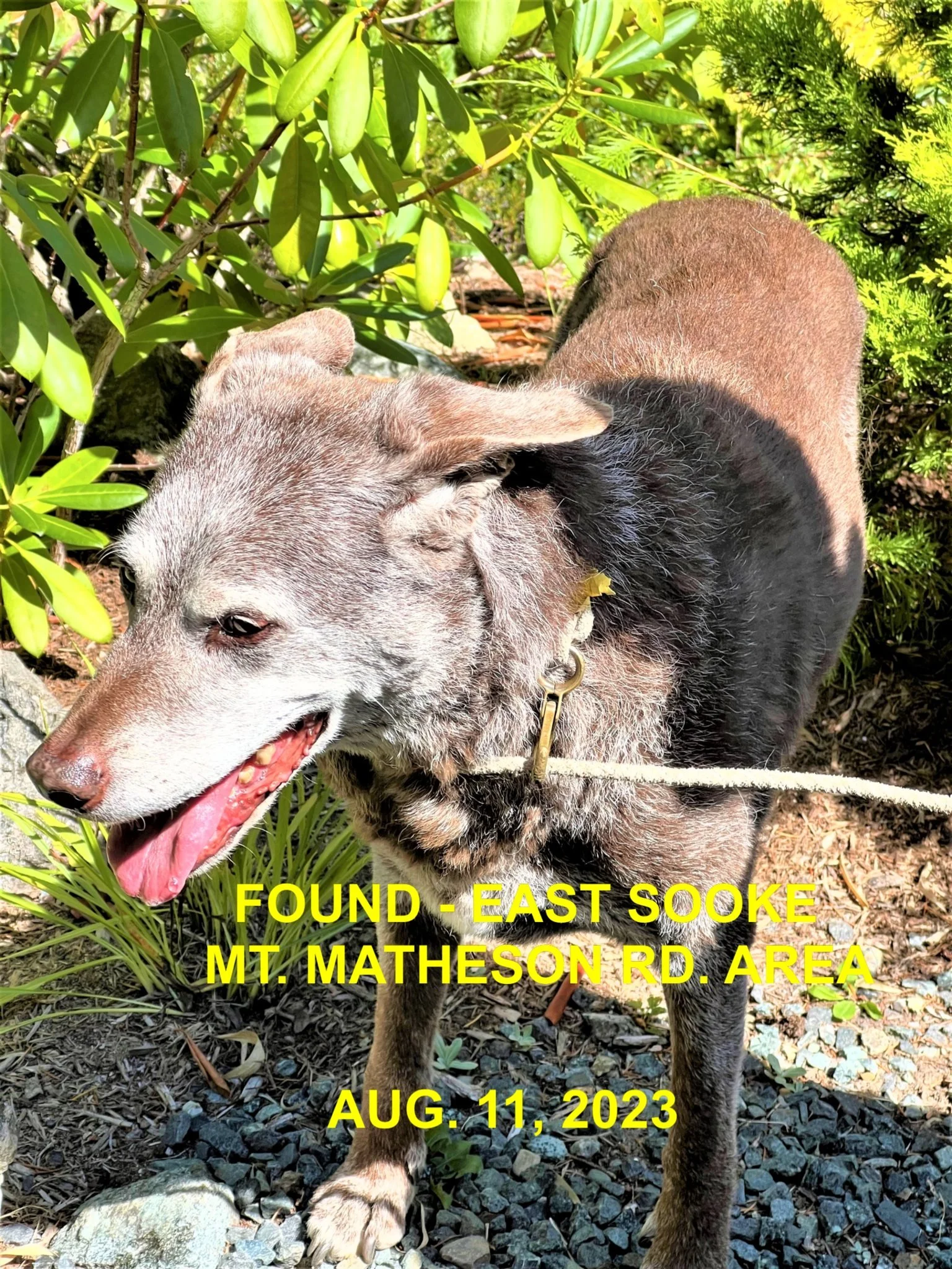 HAPPY ENDINGS - EAST SOOKE BC./ AUG. 11, 2023