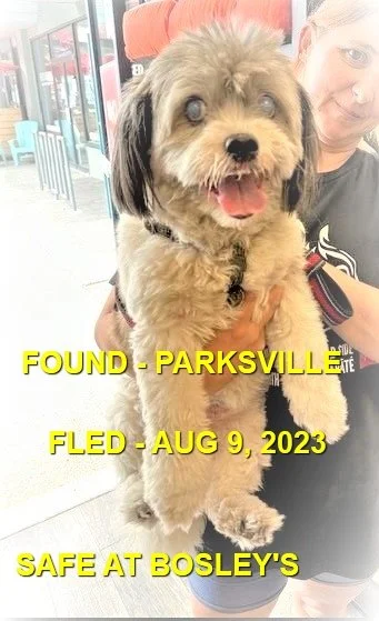 HAPPY ENDINGS - PARKSVILLE BC./ AUG. 9, 2023