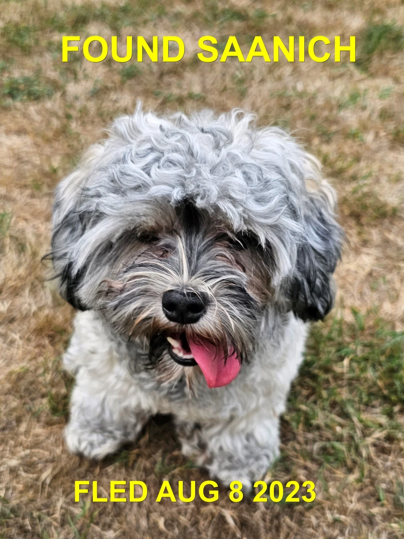 HAPPY ENDINGS - SAANICH BC./ AUG. 8, 2023