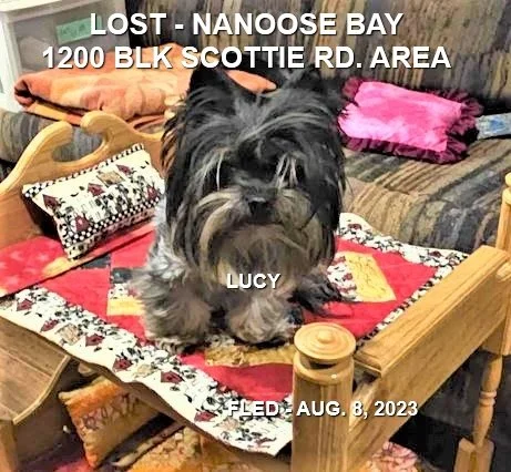 HAPPY ENDINGS - NANOOSE BAY BC./ LUCY / AUG. 8, 2023