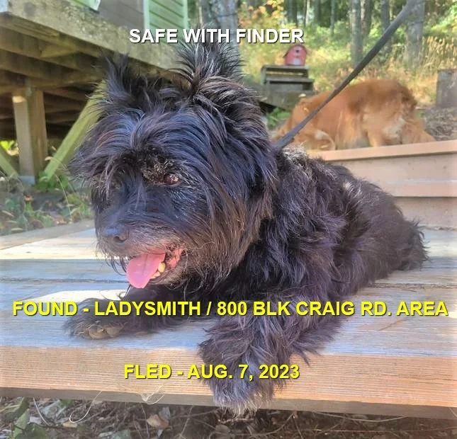 HAPPPY ENDINGS - LADYSMITH BC./ WILLIE / AUG. 7, 2023