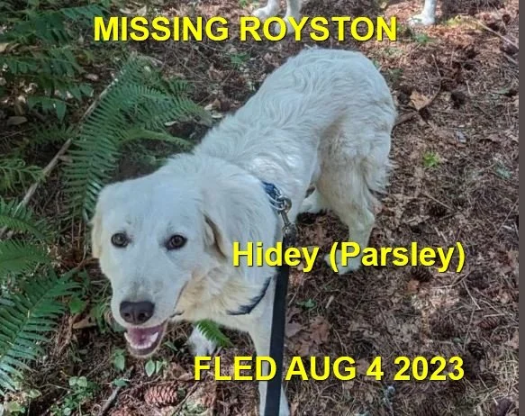 HAPPY ENDINGS - ROYSTON BC. / HIDEY / AUG. 2, 2023