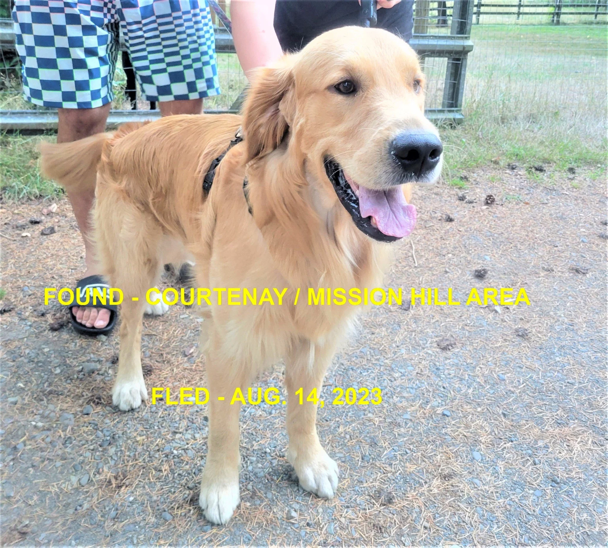 HAPPY ENDINGS - COURTENAY BC. / FINN / AUG. 14, 2023