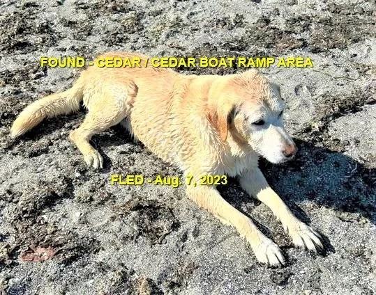 HAPPY ENDINGS - CEDAR BC. / AUG. 7, 2023