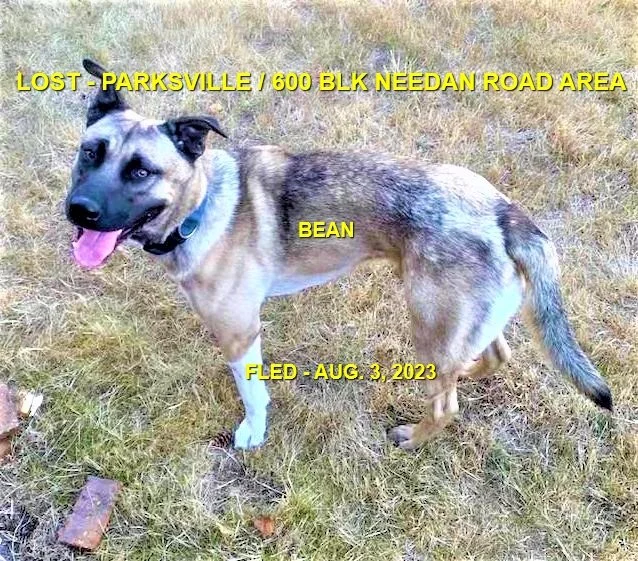 HAPPY ENDINGS - PARKSVILLE BC. / BEAN / AUG. 3, 2023