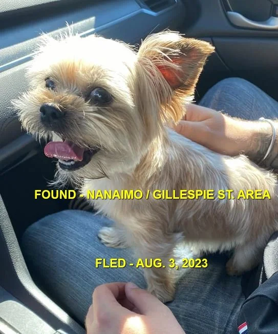 HAPPY ENDINGS - NANAIMO BC. / AUG. 3, 2023