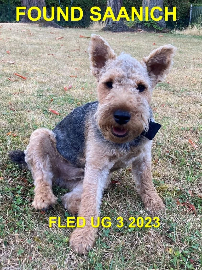 HAPPY ENDINGS - SAANICH BC. / AUG. 3, 2023