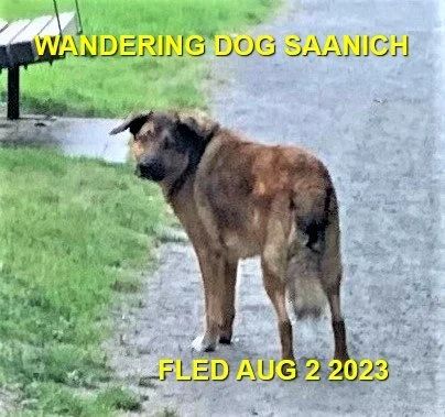 HAPPY ENDINGS - SAANICH BC. / AUG. 2, 2023