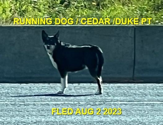 HAPPY ENDINGS - CEDAR BC. / AUG. 2, 2023