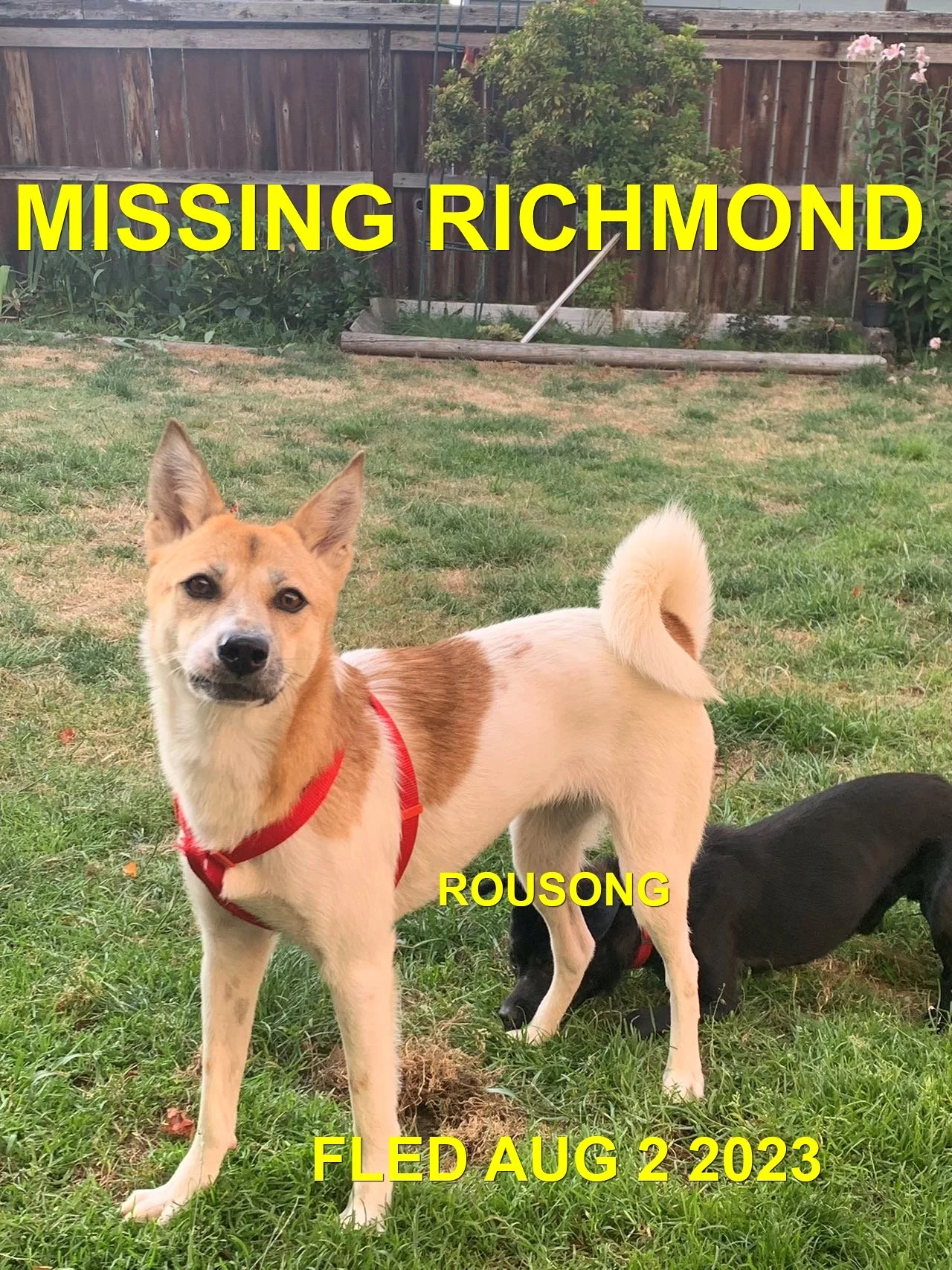 HAPPY ENDINGS - RICHMOND BC. / ROUSONG / AUG. 1, 2023
