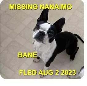 HAPPY ENDINGS - NANAIMO BC. / BANE / AUG. 2, 2023