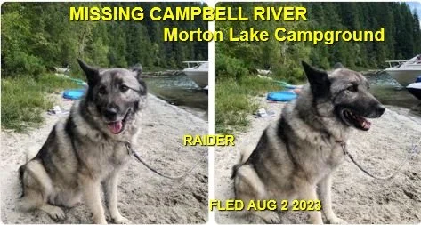 HAPPY ENDINGS - CAMPBELL RIVER BC. / RAIDER / AUG. 1, 2023