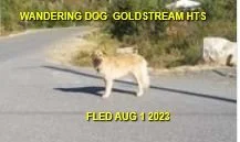 HAPPY ENDINGS - MALAHAT BC. / AUG. 1, 2023